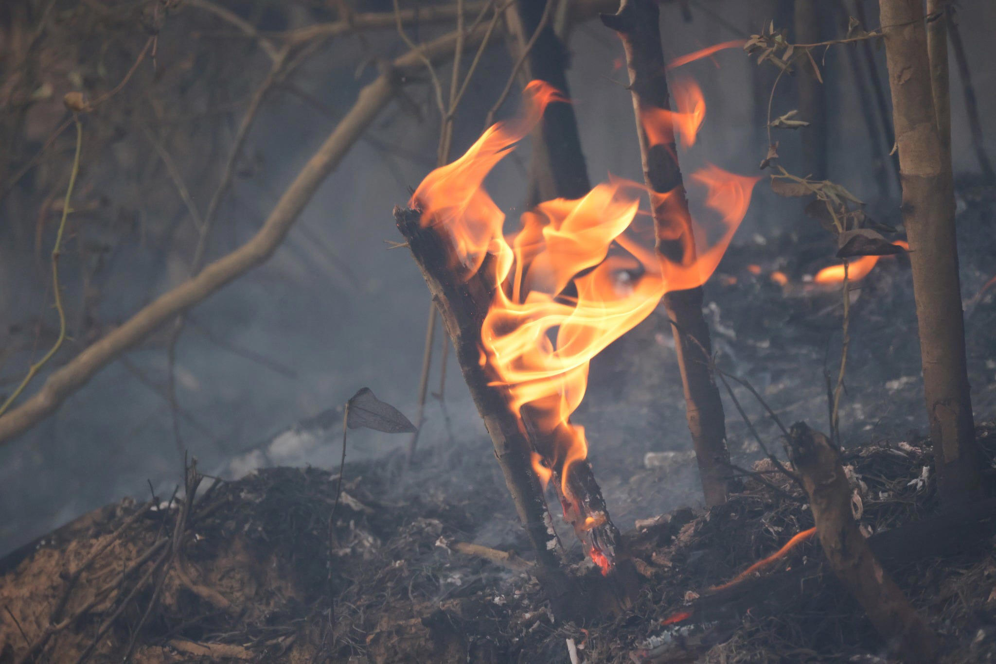Burn ban extended as Louisiana continues to smolder The latest on
