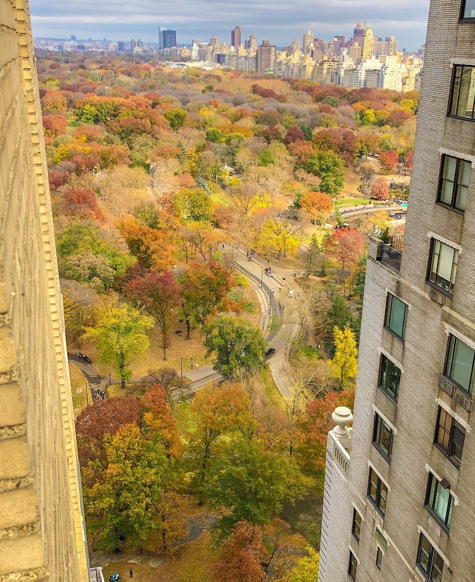 2023 LeafPeeping This Fall Foliage Map Helps Travelers Plan Their