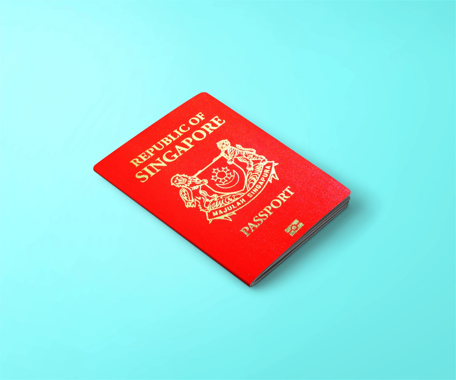 паспорт сингапура