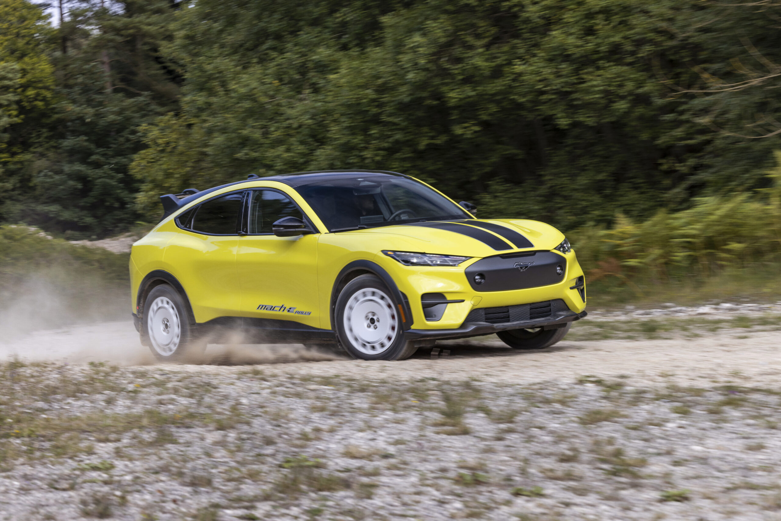 Fords Electric Mustang Suv Gets Dirt Road Rally Variant