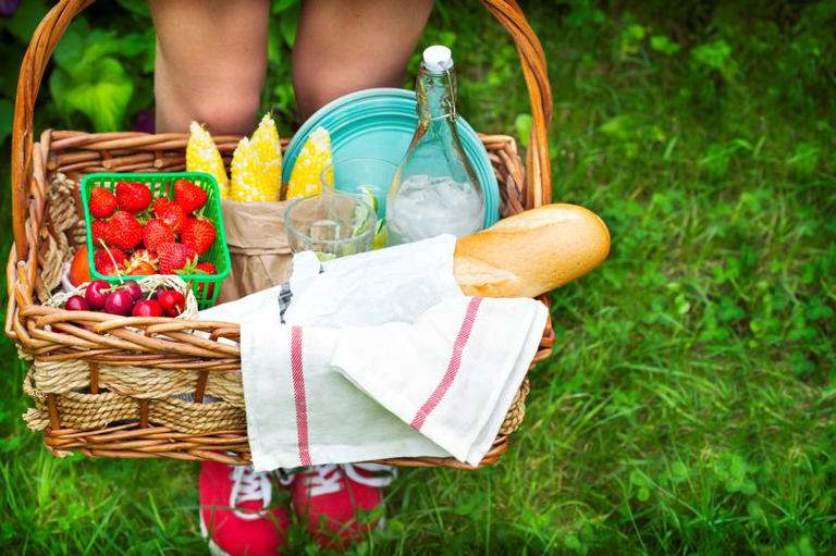 The best places for a picnic in the US