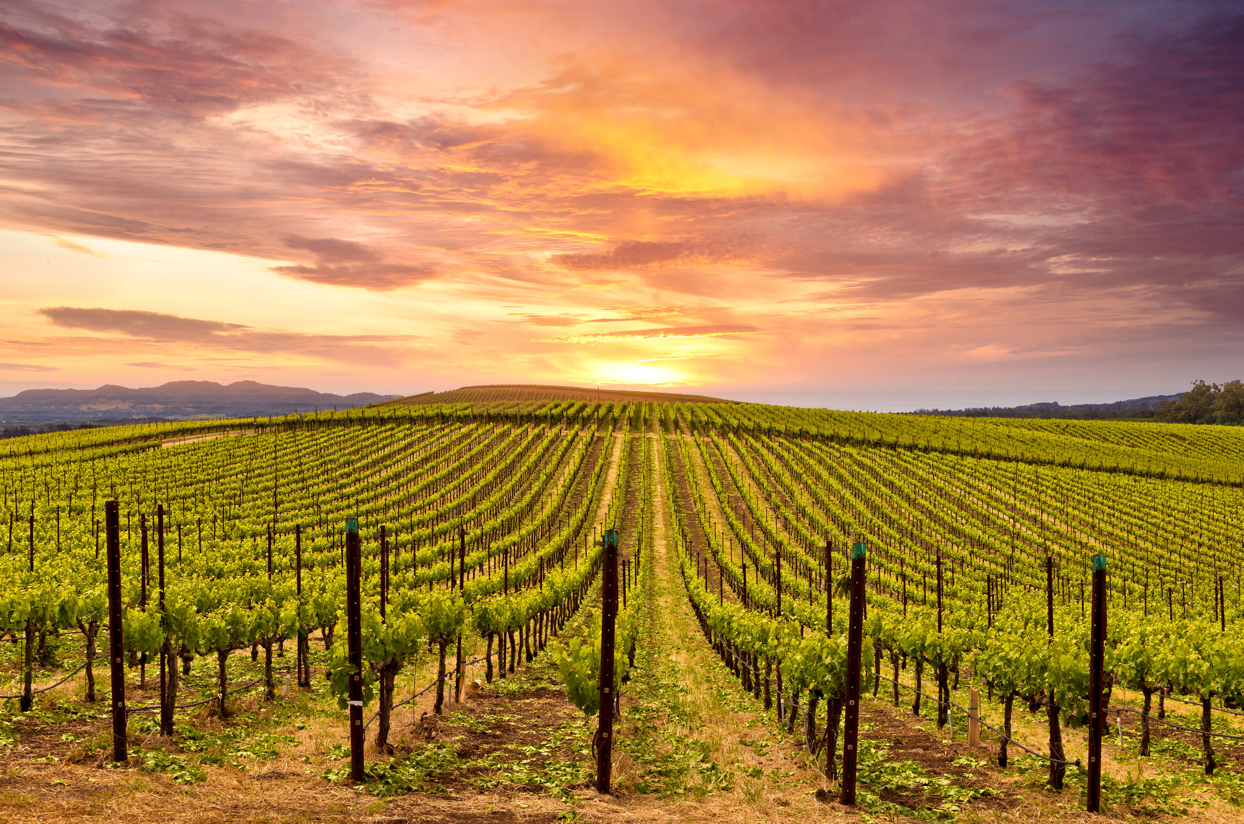 <p>Another option to the itinerary above starting in Eugene is to skip nature and head right into wine country via the Willamette Scenic Highway. An easy day trip, or you can stay a few nights and visit every winery.</p><p>You may also like: <a href='https://www.yardbarker.com/lifestyle/articles/20_ways_to_make_your_home_more_inviting_for_guests_090923/s1__35920406'>20 ways to make your home more inviting for guests</a></p>
