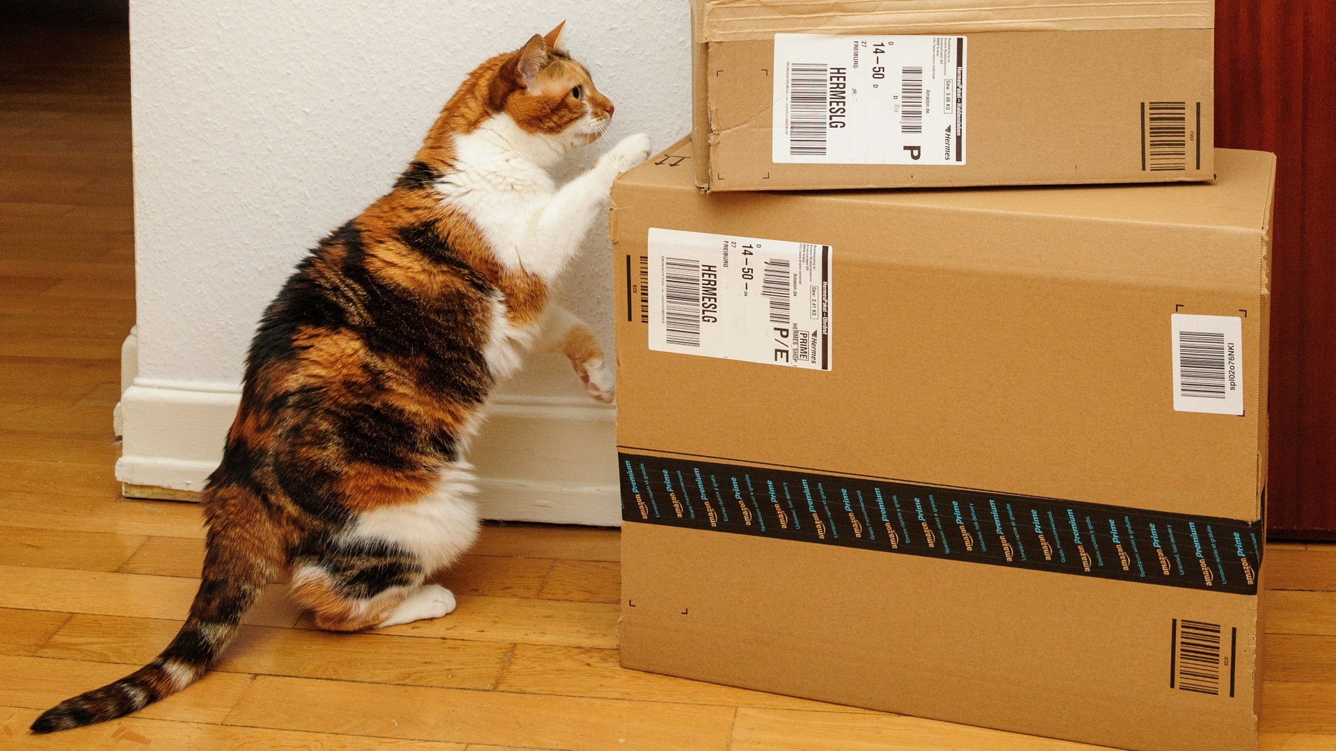 Do’s and Don’ts of Buying Unclaimed Amazon Packages