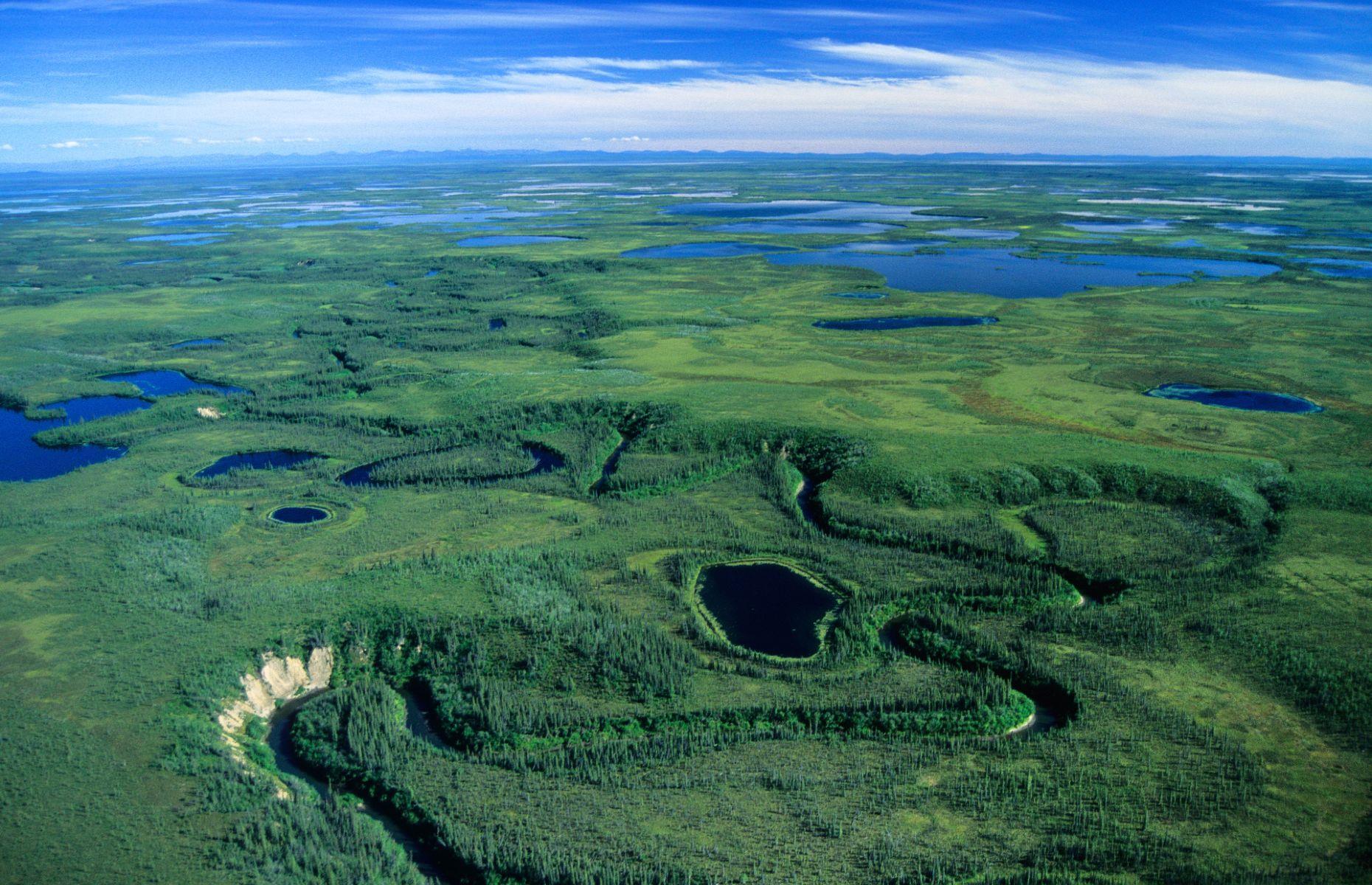 <p>Also known by its anglicized name 'Old Crow Flats', this wetland complex along the Old Crow River is inside the Arctic Circle and surrounded by mountains on all sides. But that didn’t stop the Vuntut Gwitchin people settling here more than 10,000 years ago. The Indigenous tribe, known as 'the people of the lakes', survived in the harsh north by hunting, and their arrival may have contributed to the local extinction of ground sloths, giant beavers and mammoths, all of which survive only in fossils.</p>