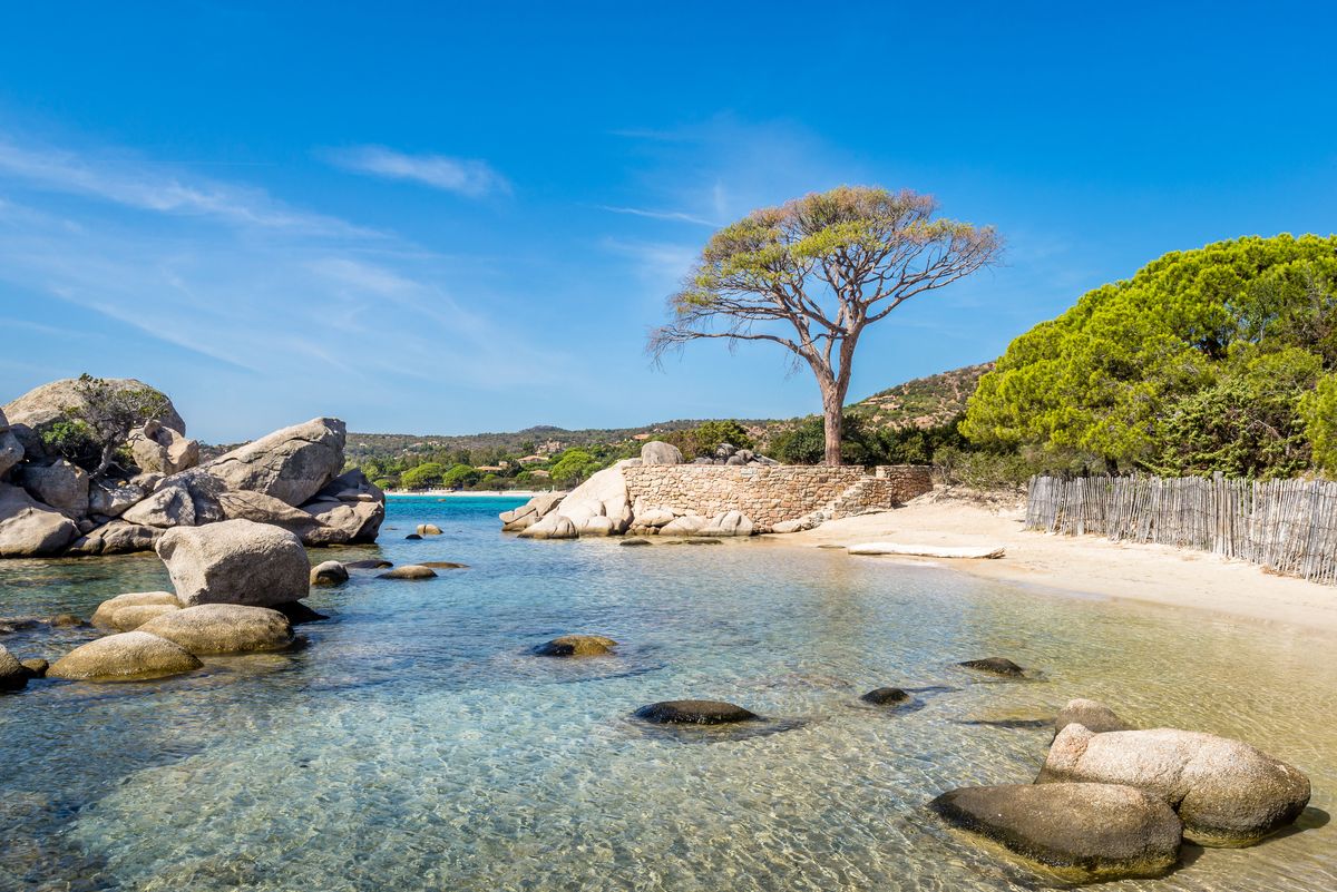 <p>Corsica’s beautiful beaches and rugged landscapes are sometimes overlooked by travellers going for the glamour of Sardinia or the allure of the Cote d’Azur, but you’ll be well rewarded here with a unique holiday enjoying the best of land and sea.</p><p>The island’s interior is great for hiking and excursions, and you won’t find yourself fighting for space on the pristine beaches. The local cuisine is unique, with French and Italian influences, and the island makes some really delicious wines too. Corsica is proud of its heritage and has a very different culture from mainland France, but as the birthplace of Napoleon Bonaparte, its played a dramatic role in France’s history and culture. </p><p><strong>Good Housekeeping has a wonderful nine-day trip to Corsica in May, June and September 2024.</strong></p><p><a class="body-btn-link" href="https://www.goodhousekeepingholidays.com/tours/mediterranean-france-corsica-little-trains">FIND OUT MORE</a></p><p><strong>Good Housekeeping readers can also visit Corsica as part of an eight-day cruise in the Mediterranean with celebrity chef, James Martin.</strong></p><p><a class="body-btn-link" href="https://www.goodhousekeepingholidays.com/tours/sail-mediterranean-st-tropez-cruise-regatta-chef-james-martin">FIND OUT MORE</a></p>