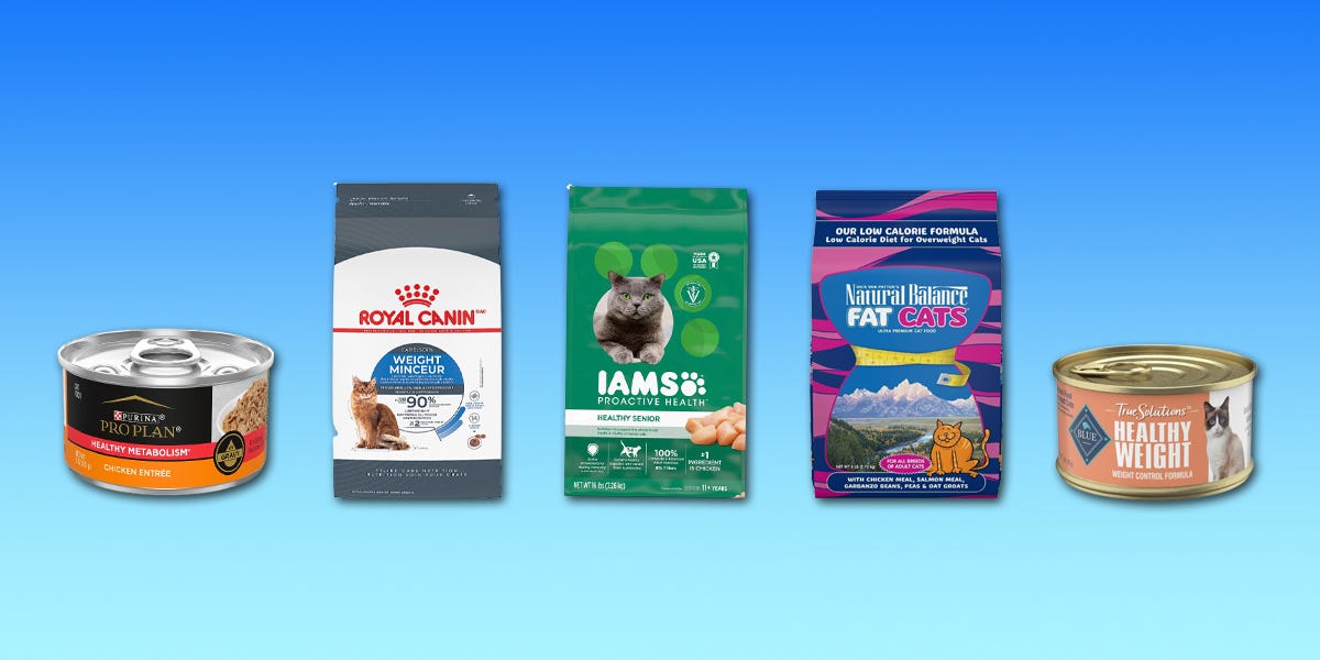 The 14 best cat foods for weight loss of 2024