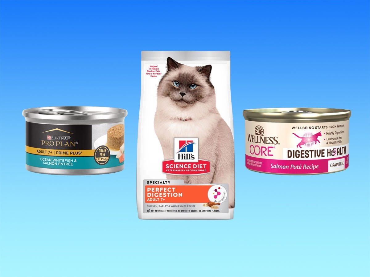 The best senior cat foods of 2024