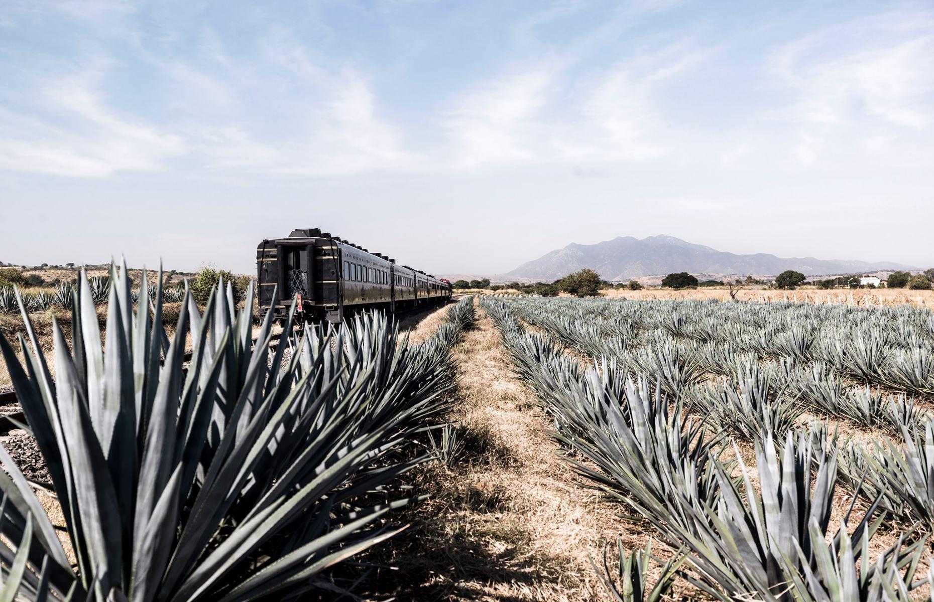 Whether it’s beautiful landscapes, high-end luxury or novelty value you’re after, North America has every train trip you could want and more. From famous routes like the California Zephyr and the Canadian to lesser-known gems such as the Sky Railway, plus new routes like the Ethan Allen Express, here’s our pick of the best rail journeys in the USA, Mexico and Canada.