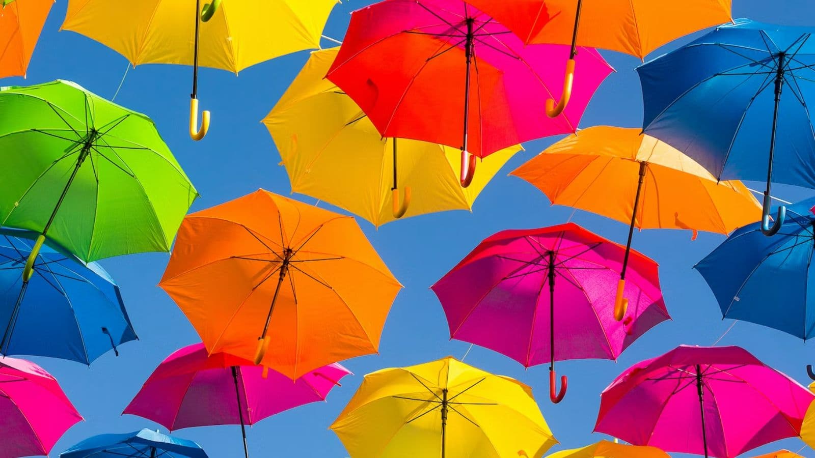 Обои зонтика. Разноцветные зонтики. Красочный зонтик. Много зонтиков. Зонт цветной.