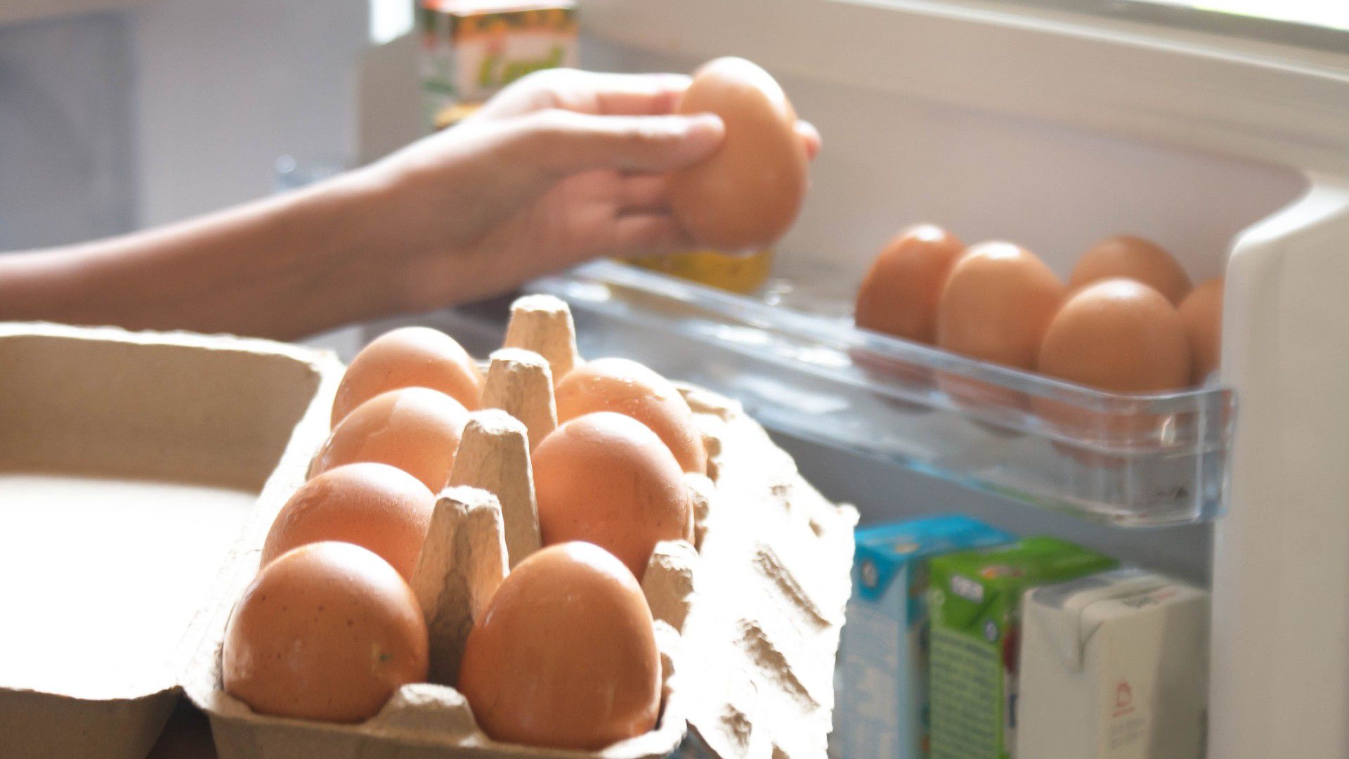 ¿cuánto cuesta la cubeta de huevos en corabastos hoy, 28 de febrero?