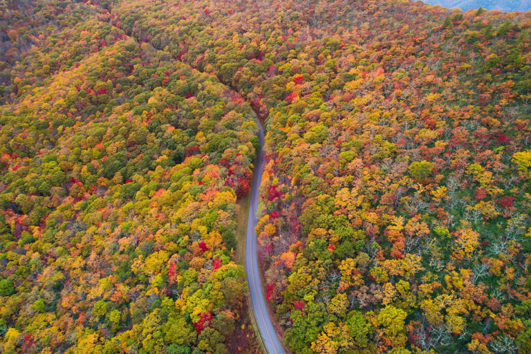 Blue Ridge Parkway Vs. Skyline Drive: Which Is More Scenic?