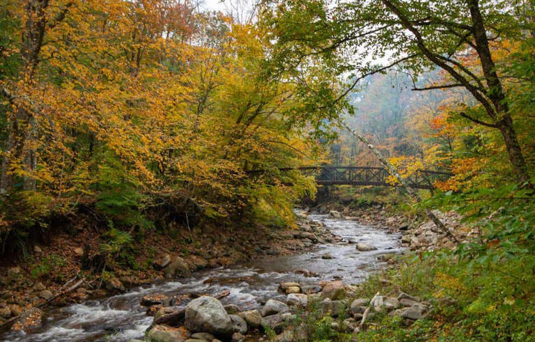 The Appalachian Trail in Bennington, Vermont in October