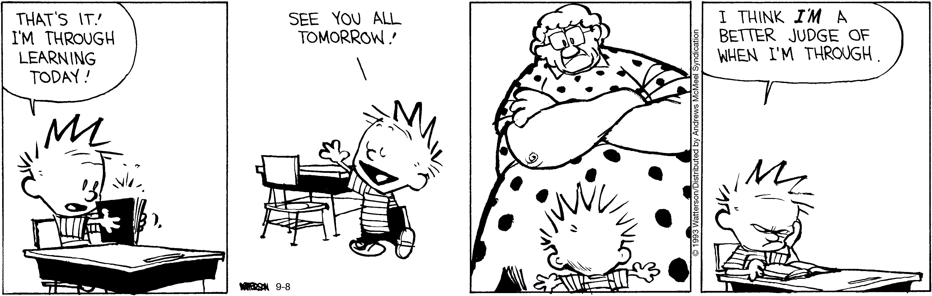 Calvin And Hobbes By Bill Watterson 