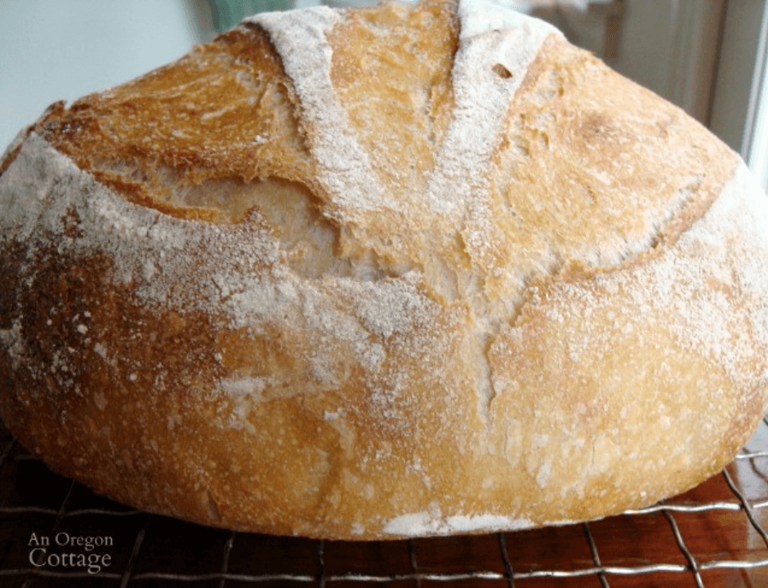 Super Easy Homemade Bread Recipes For Beginners - No Yeast, Sourdough 