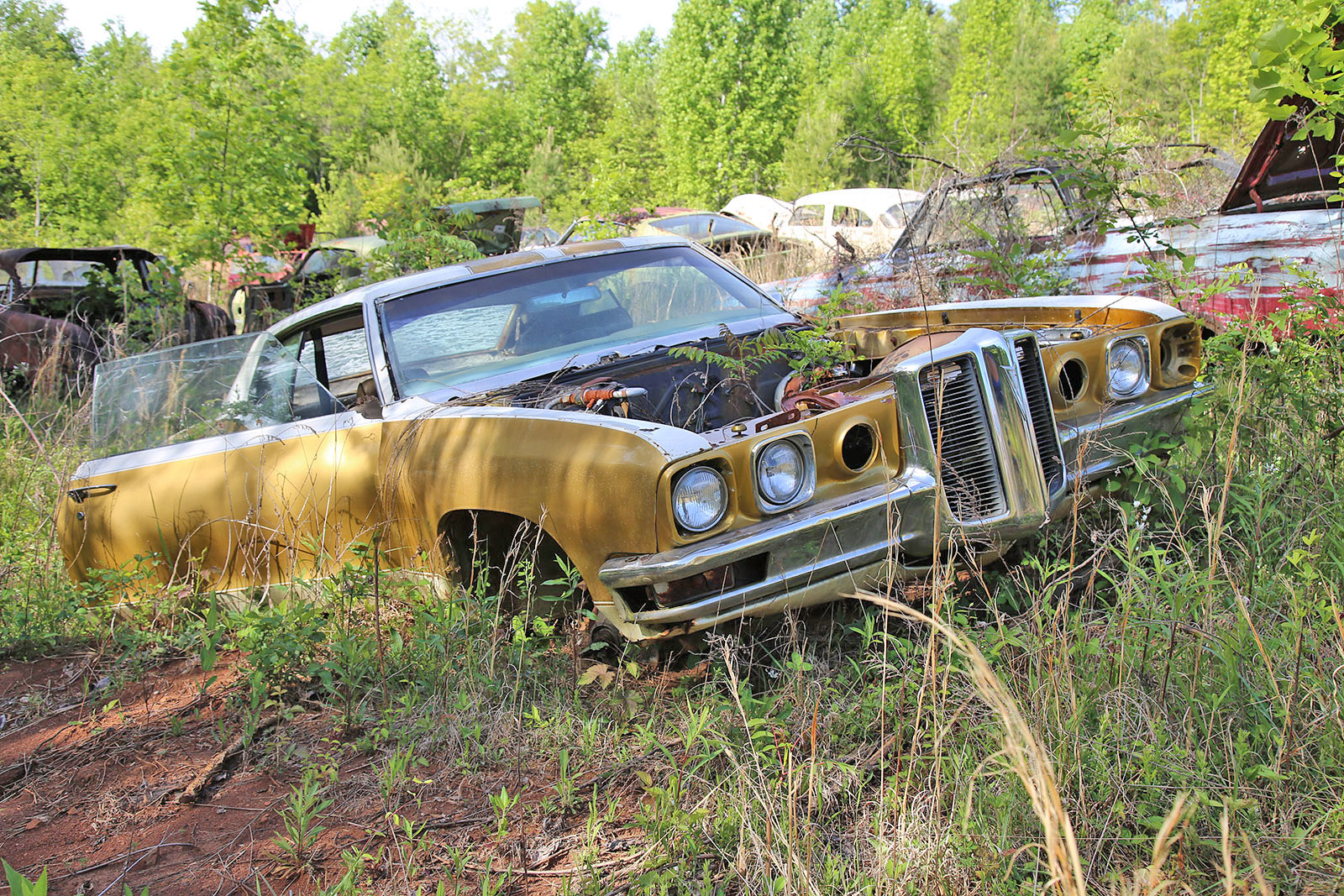 The Interesting Junkyard Discoveries of Sonny’s Auto Repair in Blaine