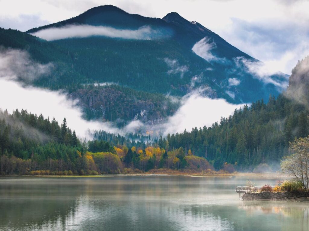 Kayaking In Skagit County: Beautiful Tulip Country And Bald Eagles