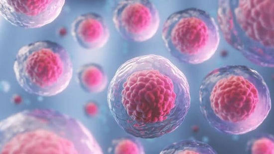Human lifespan till 120 years?, US doctor claims stem cell research will make it possible in next couple of years