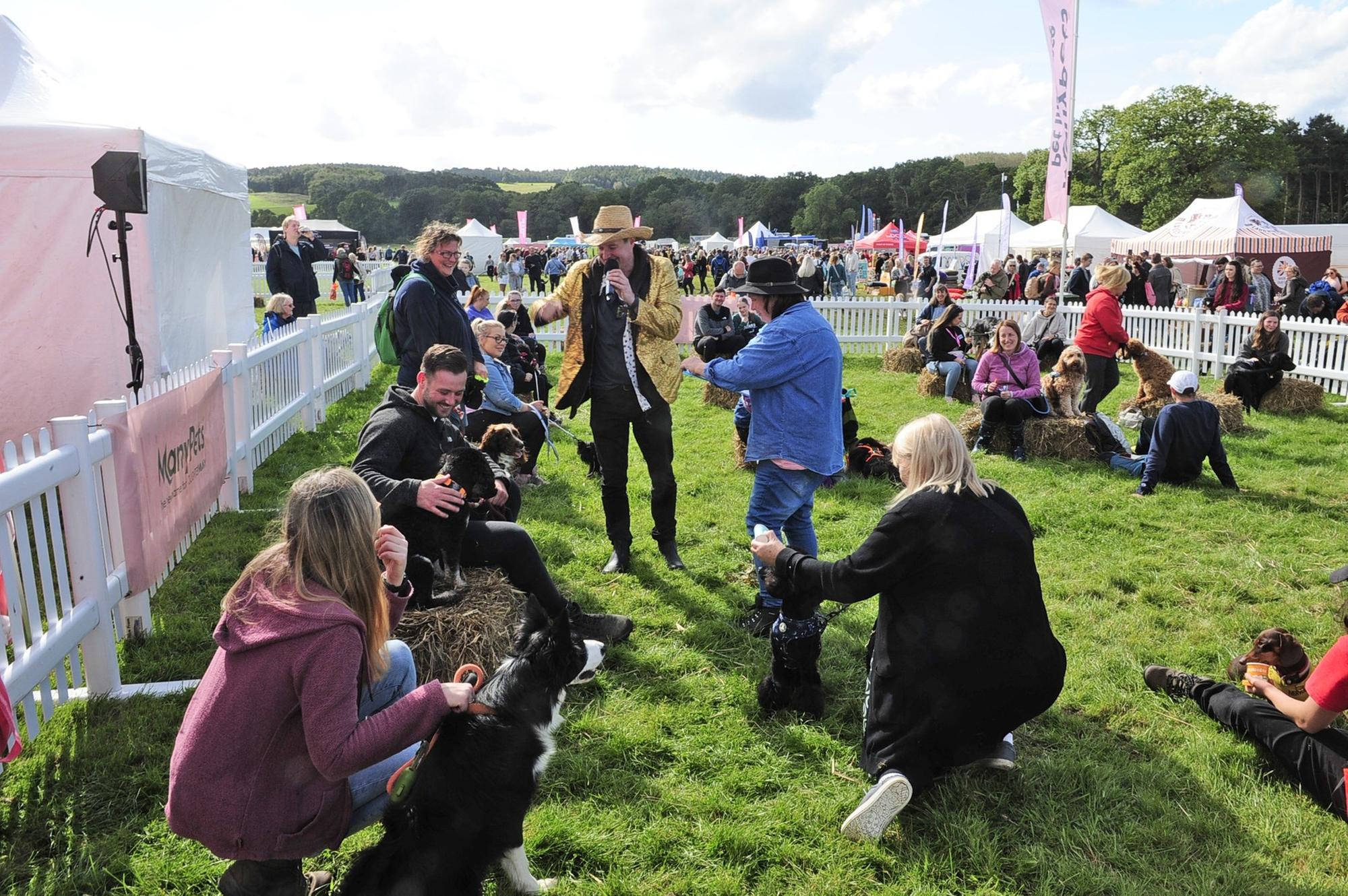 DogFest Leeds 2023 Best pictures as adorable dogs take over Harewood