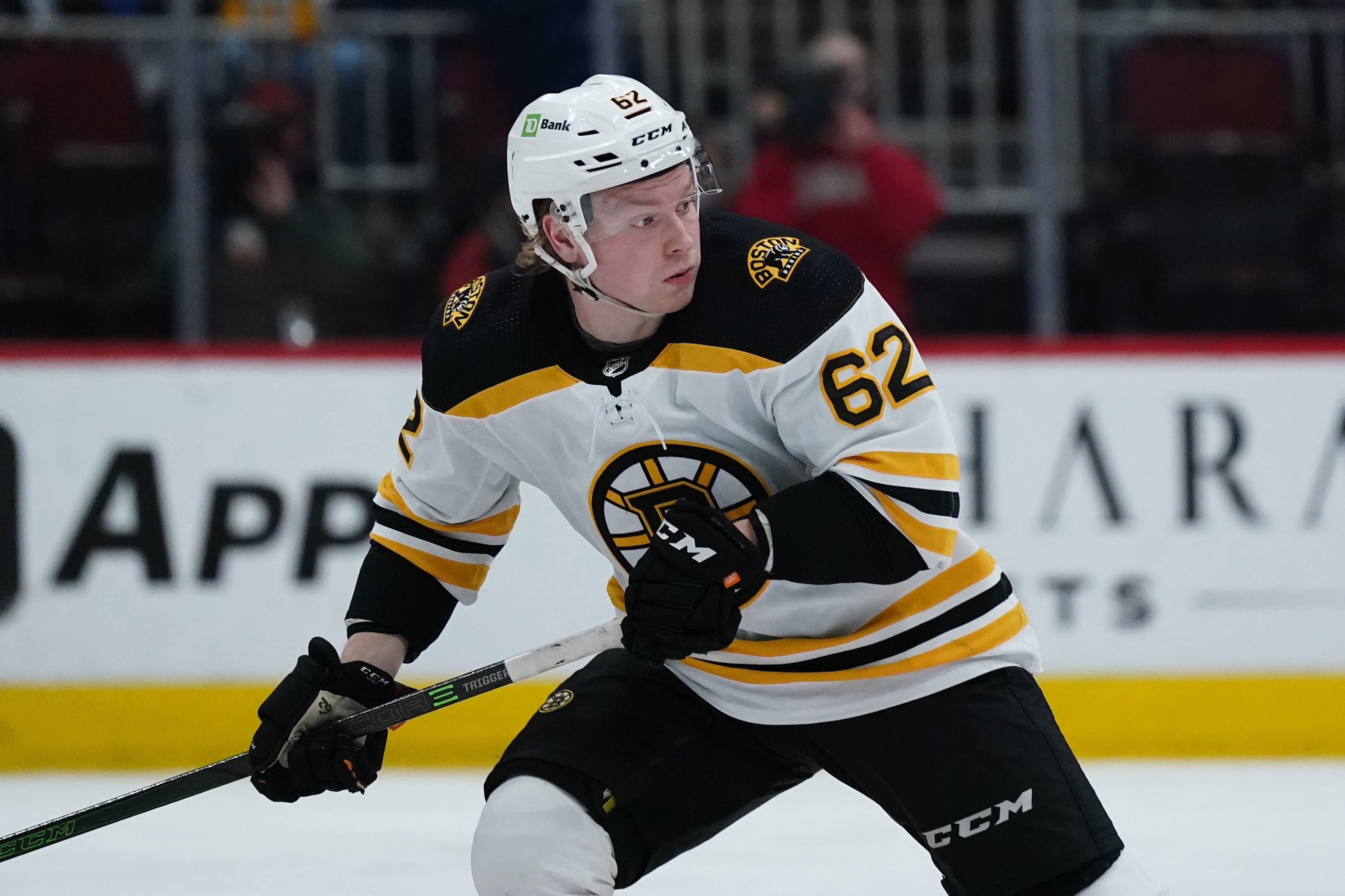 Oskar Steen hopes for more than just cameos with the Bruins this season