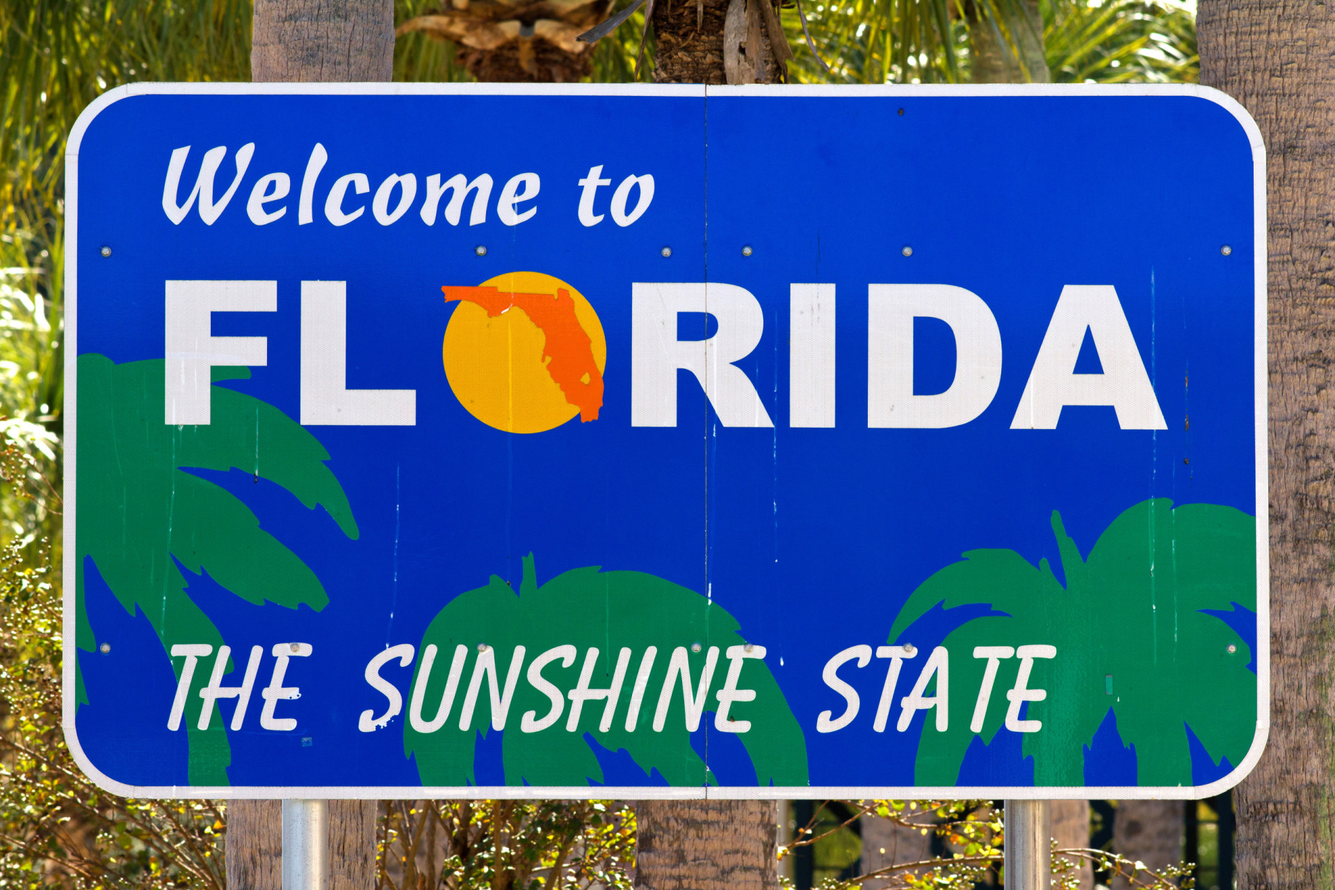 <p>Florida is known as the Sunshine State. The sign attempts to capture what Florida is about—sun and palm trees! P.S. The sun might just be an orange, which would also make sense given that Florida produces around 70% of the country's citrus fruits. </p><p><a href="https://www.msn.com/en-us/community/channel/vid-7xx8mnucu55yw63we9va2gwr7uihbxwc68fxqp25x6tg4ftibpra?cvid=94631541bc0f4f89bfd59158d696ad7e">Follow us and access great exclusive content every day</a></p>