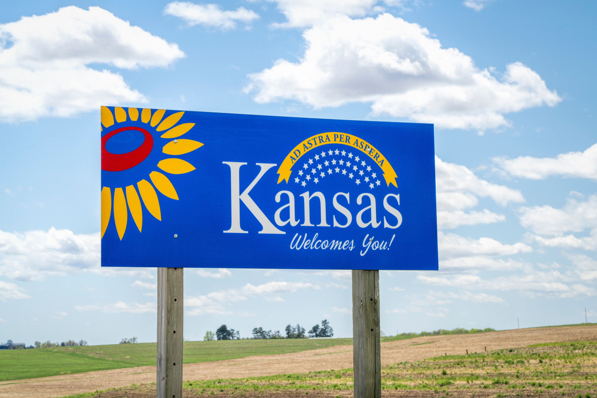 <p>Kansas' welcome sign features a sunflower, which is the official <a href="https://www.starsinsider.com/lifestyle/195531/keep-america-weird-strangest-facts-about-each-state" rel="noopener">state</a> flower.</p><p>You may also like:<a href="https://www.starsinsider.com/n/306032?utm_source=msn.com&utm_medium=display&utm_campaign=referral_description&utm_content=572689en-en"> The world's most incredible historic gold artifacts</a></p>