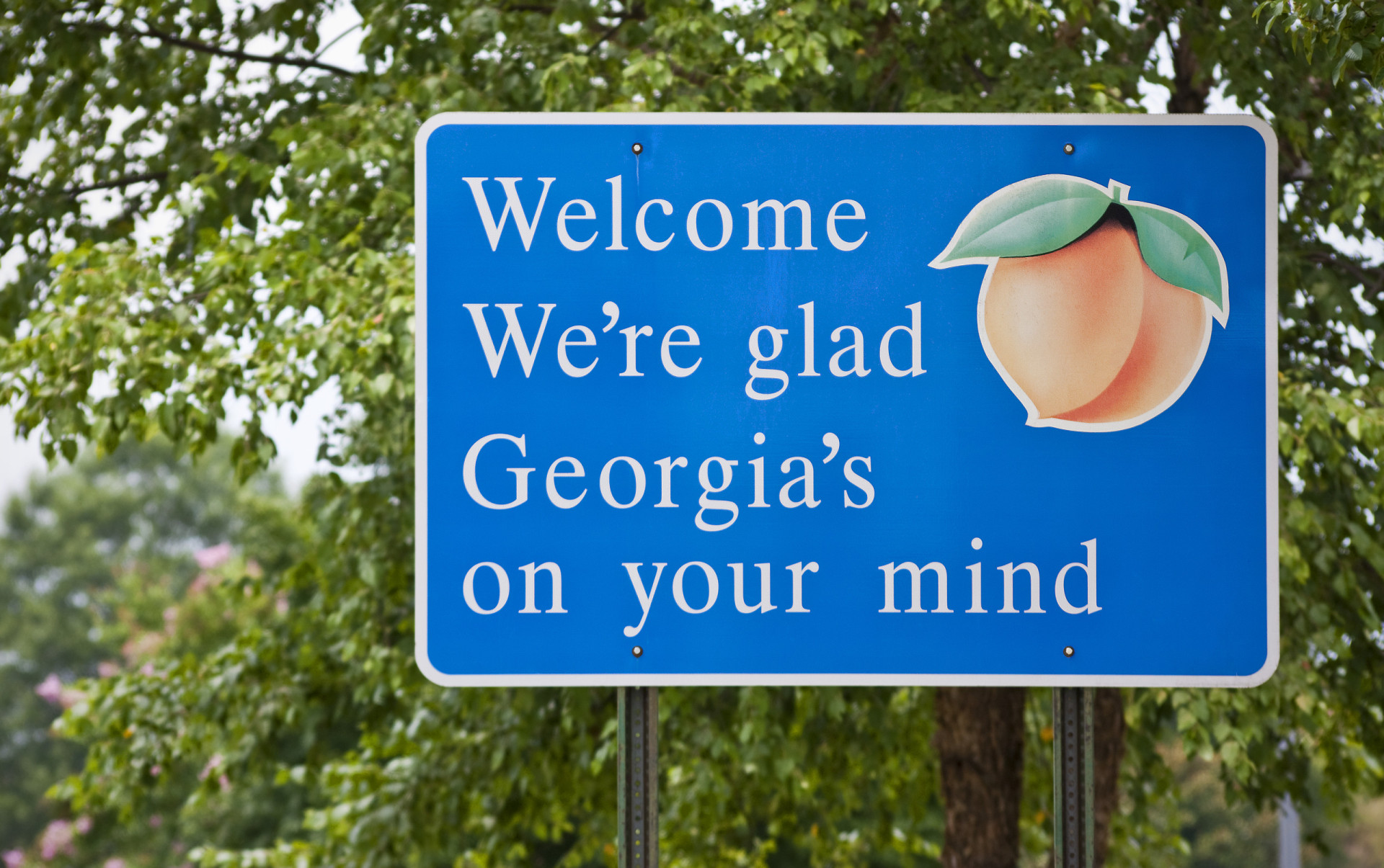 <p>Georgia's welcome sign makes reference to Hoagy Carmichael's and Stuart Gorrell's 1930 song 'Georgia on My Mind,' which was successfully covered by Ray Charles in 1960.</p><p>You may also like:<a href="https://www.starsinsider.com/n/261671?utm_source=msn.com&utm_medium=display&utm_campaign=referral_description&utm_content=572689en-en"> Celebs reveal the stories behind their stage names</a></p>