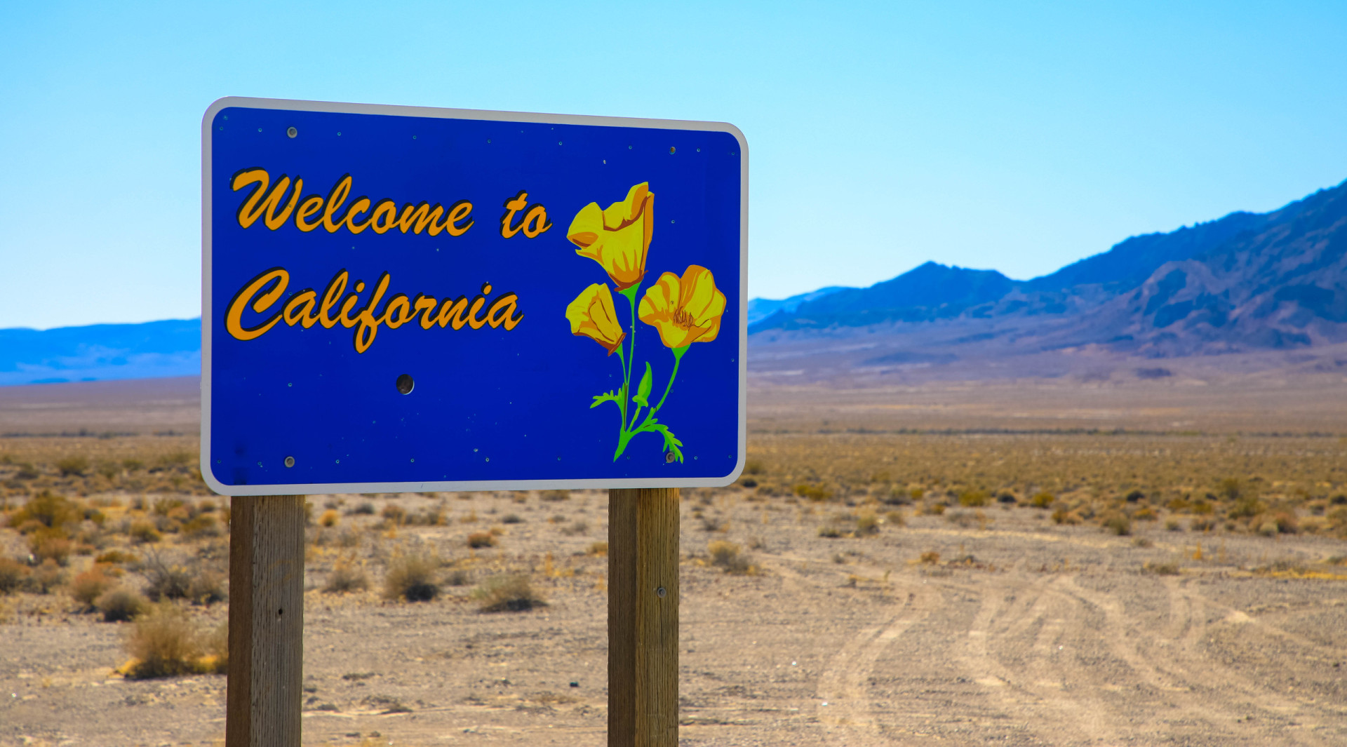<p>This sign features California golden poppies, one of the natural symbols of The Golden State.</p><p><a href="https://www.msn.com/en-us/community/channel/vid-7xx8mnucu55yw63we9va2gwr7uihbxwc68fxqp25x6tg4ftibpra?cvid=94631541bc0f4f89bfd59158d696ad7e">Follow us and access great exclusive content every day</a></p>