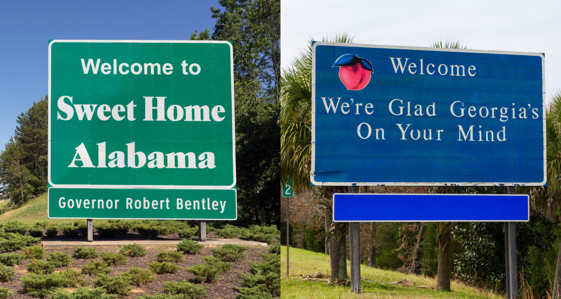 <p>Welcome signs serve as indicators of having crossed state lines. They are also important tools in marketing a state to visitors. Some US states have really interesting signage; many feature <a href="https://www.starsinsider.com/lifestyle/220309/the-surprising-history-behind-every-state-nickname" rel="noopener">nicknames</a> and slogans, and also make reference to the region's unique landmarks and visitor attractions. So, how do you want to be greeted? </p> <p>In this gallery you'll find the welcome signs for all 50 US states, and the meaning behind them. Click on. </p><p>You may also like:<a href="https://www.starsinsider.com/n/102559?utm_source=msn.com&utm_medium=display&utm_campaign=referral_description&utm_content=572689en-en"> Danger Will Robinson! Le attrazioni turistiche più pericolose al mondo</a></p>