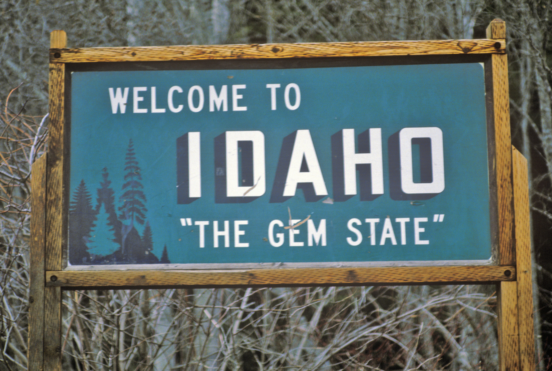 <p>Idaho is known as the Gem State because it's home to a number of different minerals. The slogan is also used as a figurative expression for Idaho's natural beauty. </p><p>You may also like:<a href="https://www.starsinsider.com/n/286504?utm_source=msn.com&utm_medium=display&utm_campaign=referral_description&utm_content=572689en-en"> Fascinating facts you didn’t know about Disney parks</a></p>