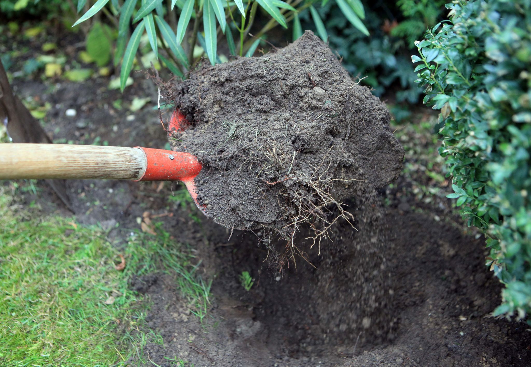 conozca el tipo de suelo de su jardín y cómo mejorarlo