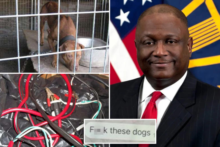 Senior Pentagon official ran vicious dogfighting ring — and executed losers with jumper cables: feds