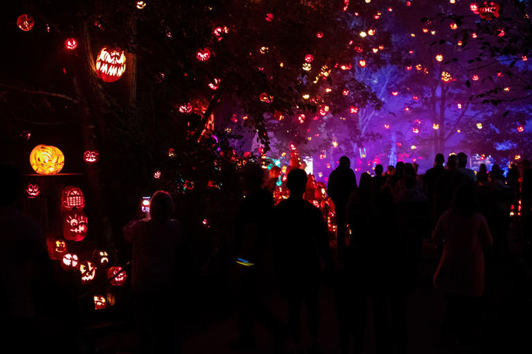 Visitors stroll through the Jack-O-Lantern Spectacular pumpkin trail at Roger Williams Park Zoo in Providence, Rhode Island. The annual event features thousands of carved pumpkins along a trail through the zoo.