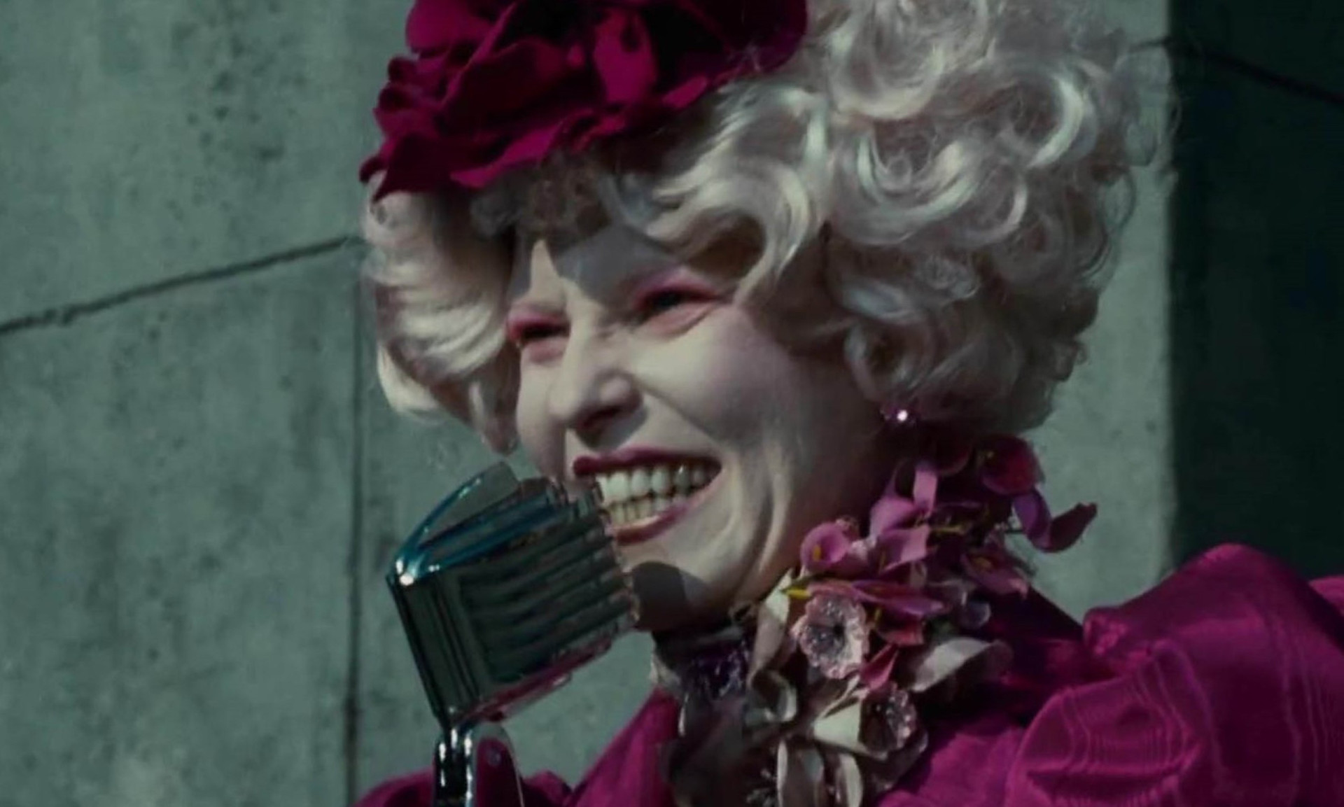 Meet 7 adorable puppies in Wenatchee that you can adopt this week