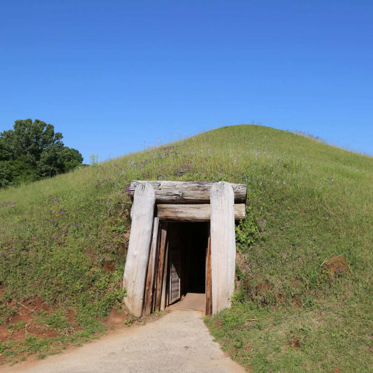 Discover 11 Epic National Parks in Georgia