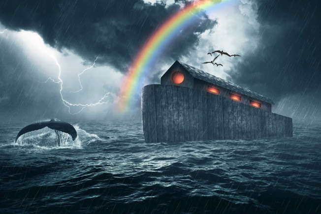 De ark zou hebben gefunctioneerd