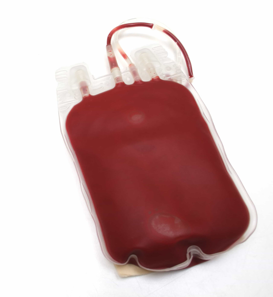 Wezens kunnen niet leven zonder bloed