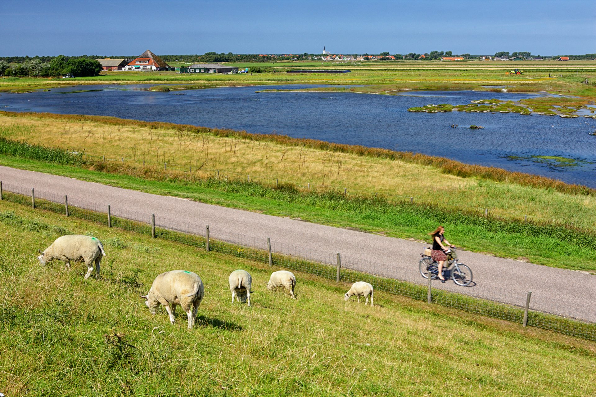 <p><strong>Où ? </strong><br> Dans la Mer des Wadden.</p> <p><strong>Comment s'y rendre ?<br> </strong>En ferry depuis Den Helder, aux Pays-Bas.</p> <p><strong>Que faire sur cette île ?<br> </strong>Faire le tour de l'île à vélo pour voir ses paysages bucoliques, ses moutons et ses oiseaux sauvages.</p>