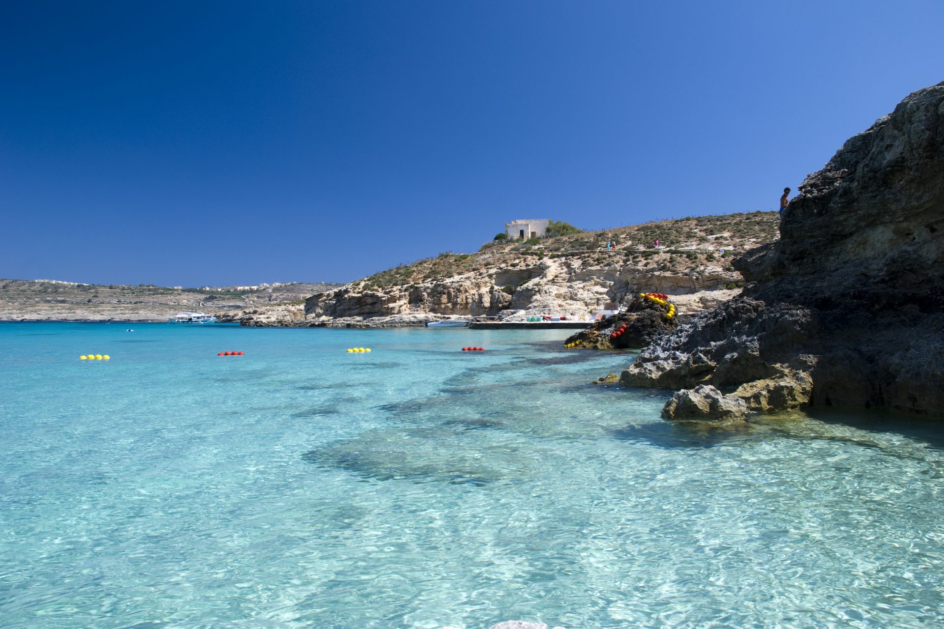 <p><strong>Où ? </strong><br> Dans l'archipel maltais, entre l'île de Malte et de Gozo.</p> <p><strong>Comment s'y rendre ?<br> </strong>En bateau depuis le port de St Paul's Bay, situé au nord-ouest de l'île de Malte.</p> <p><strong>Que faire sur cette île ?<br> </strong>Se baigner dans le lagon bleu, faire une randonnée pour explorer au plus près la vie sauvage de l'île.</p>
