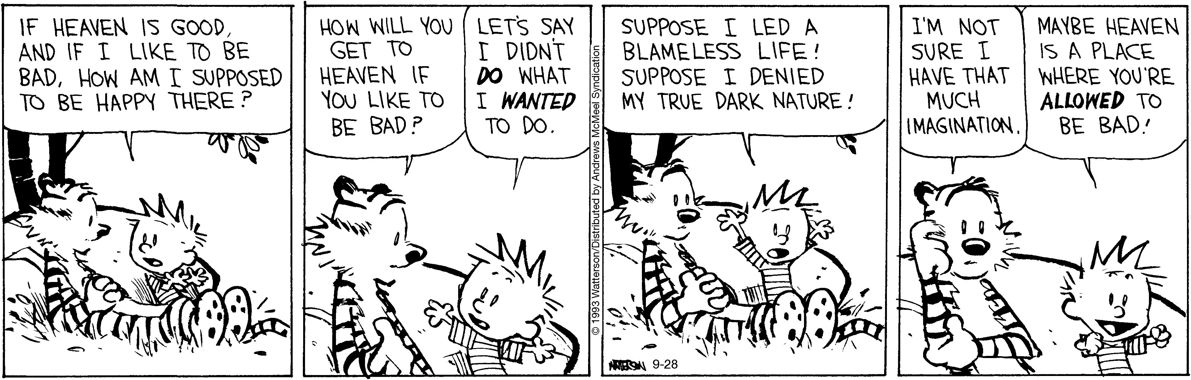 Calvin And Hobbes By Bill Watterson 4857