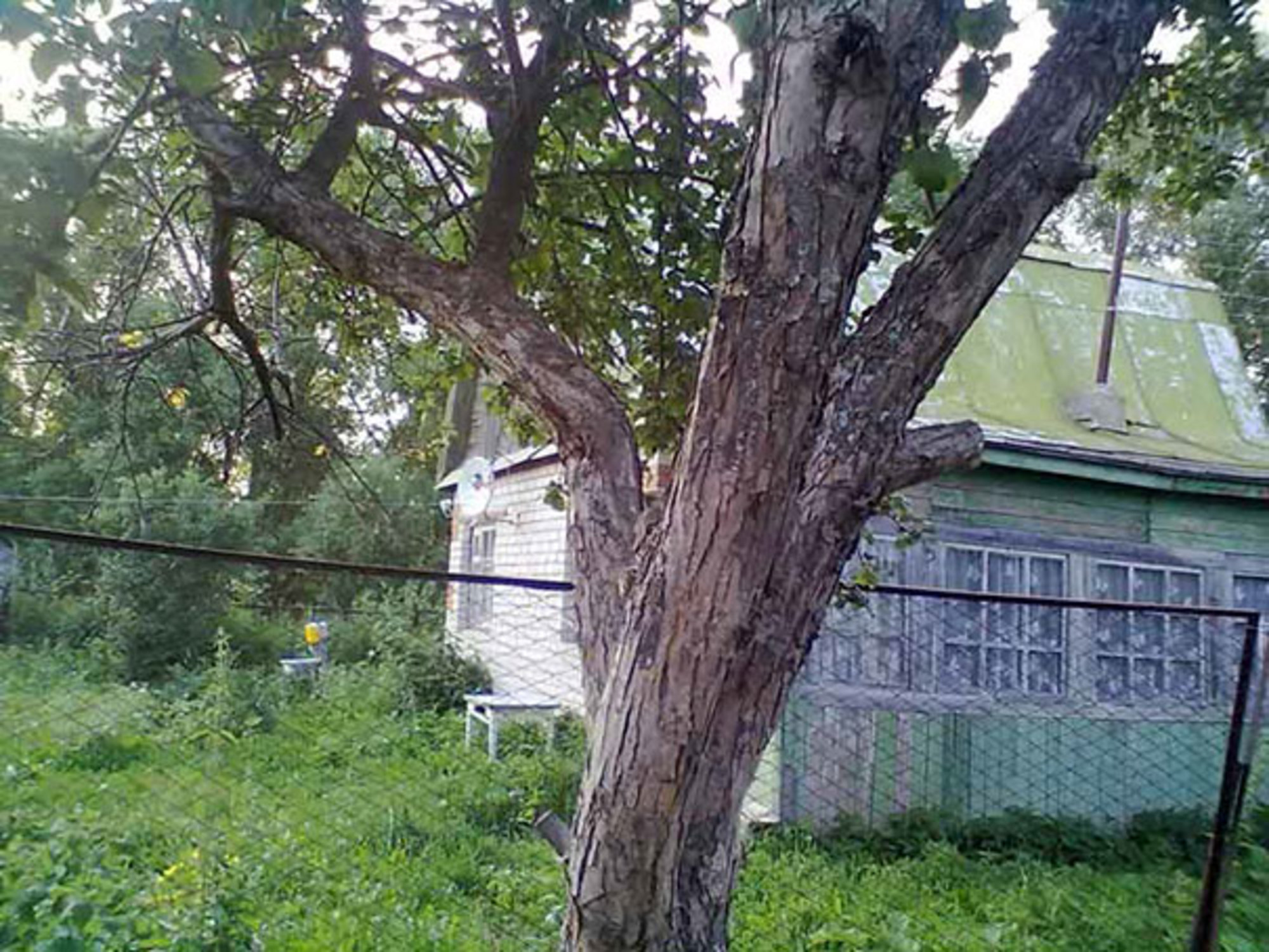 Eating slowly vs quickly Which is better for your health?