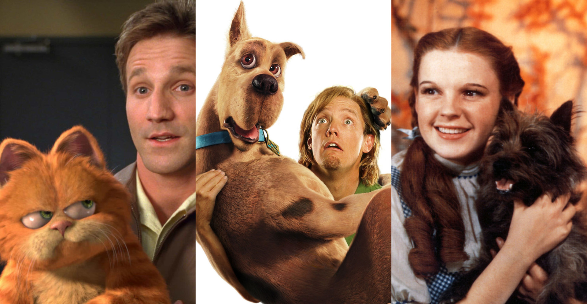 From dogs to dragons: the best pets in pop culture