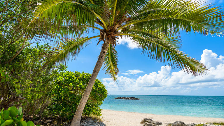 Beach at Fort Zachary Taylor