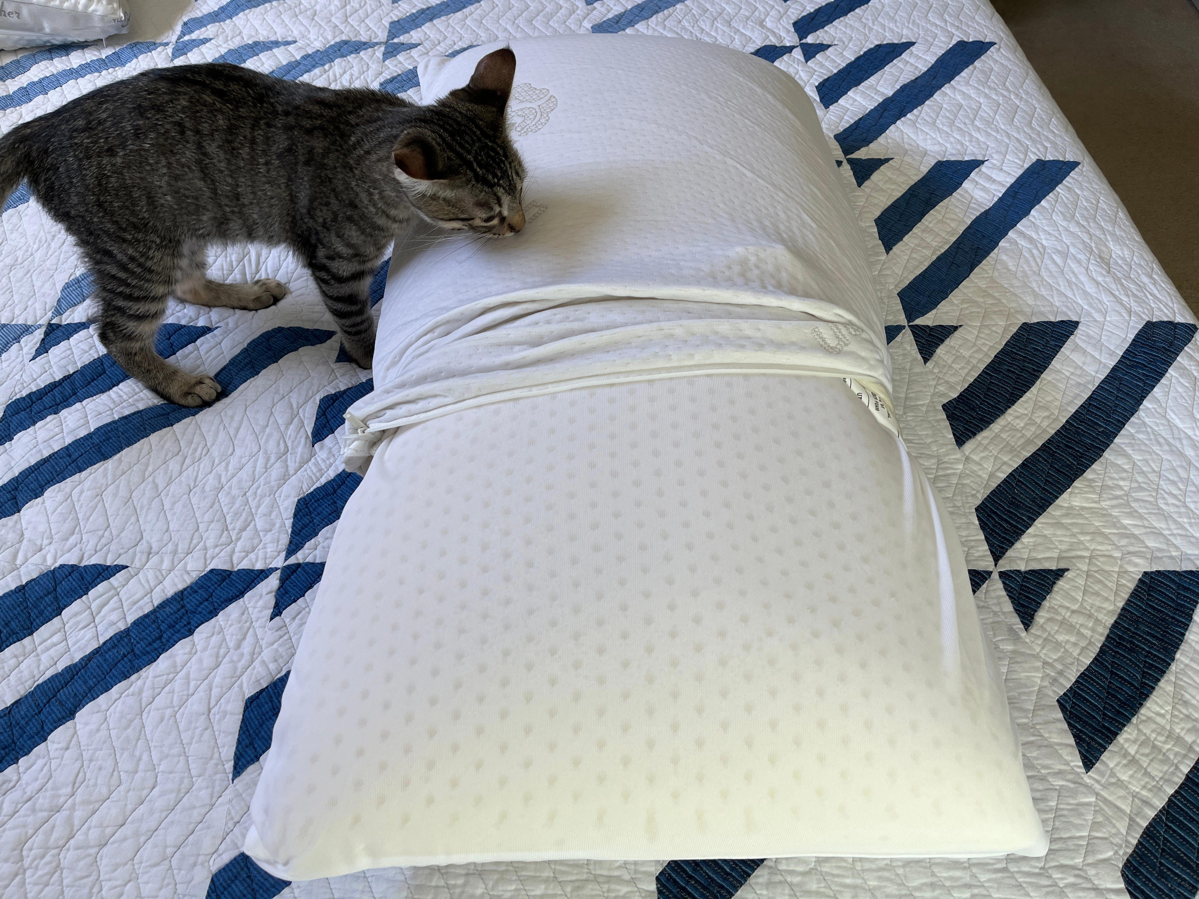 The 8 best pillows for side sleepers of 2023