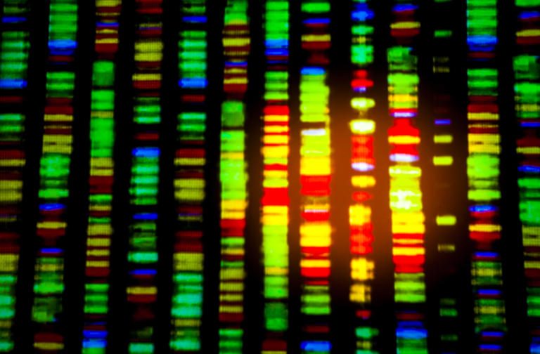 An NIH genetics study targets a long-standing challenge: Diversity