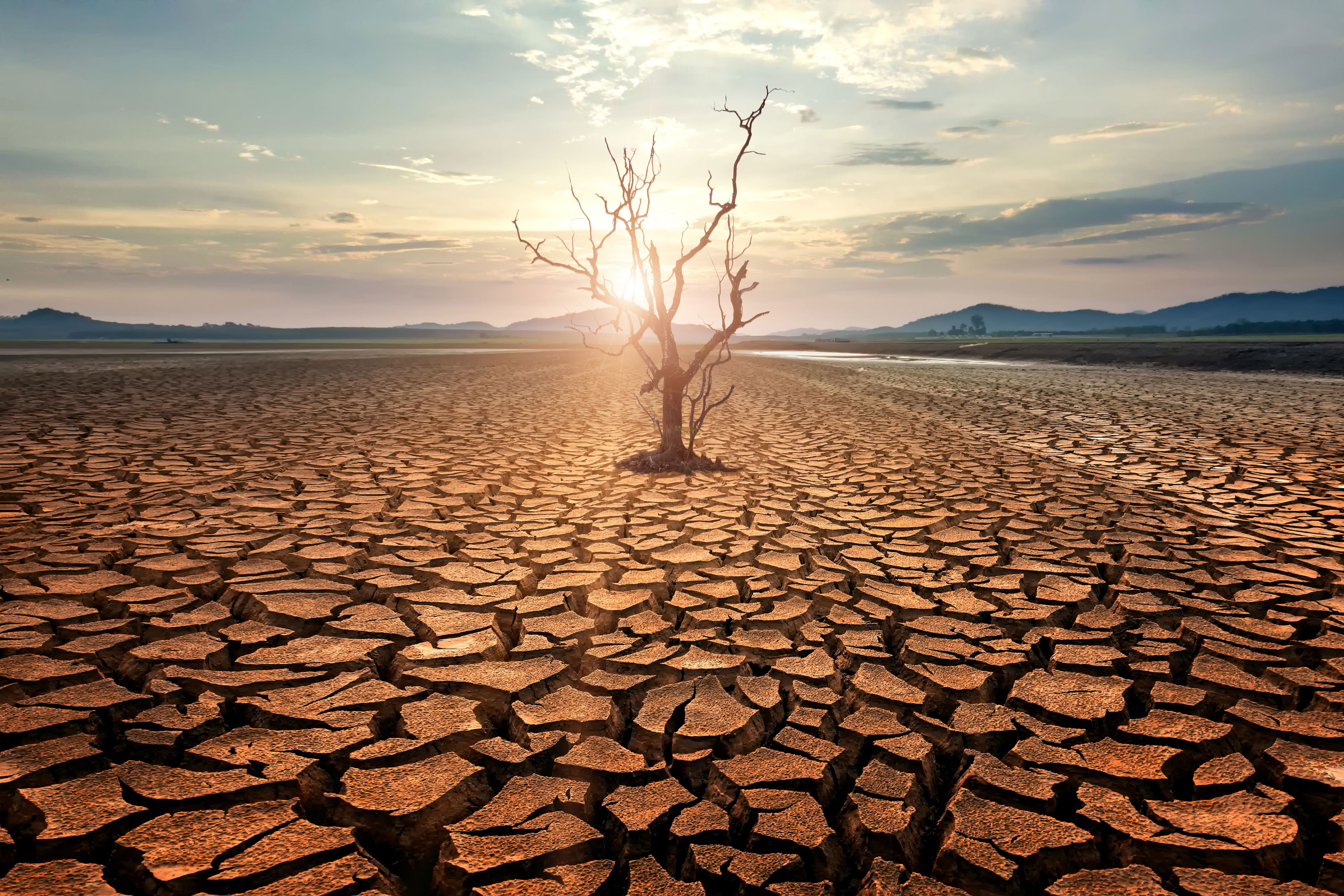 ola de calor en 2023 sería culpa de un “misterioso” desequilibrio en la tierra: ¿científicos temen algo peor para 2024?