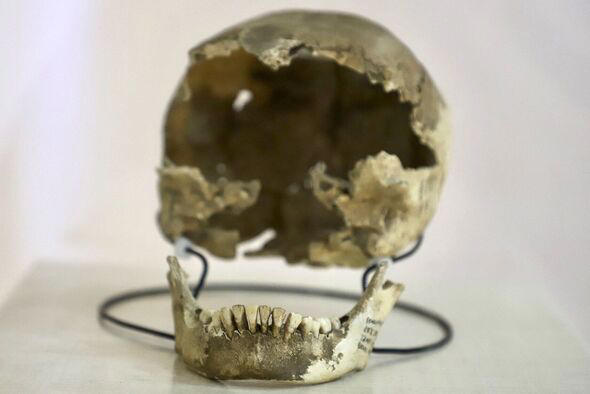 A Maya skull found in Bonampak in 2022