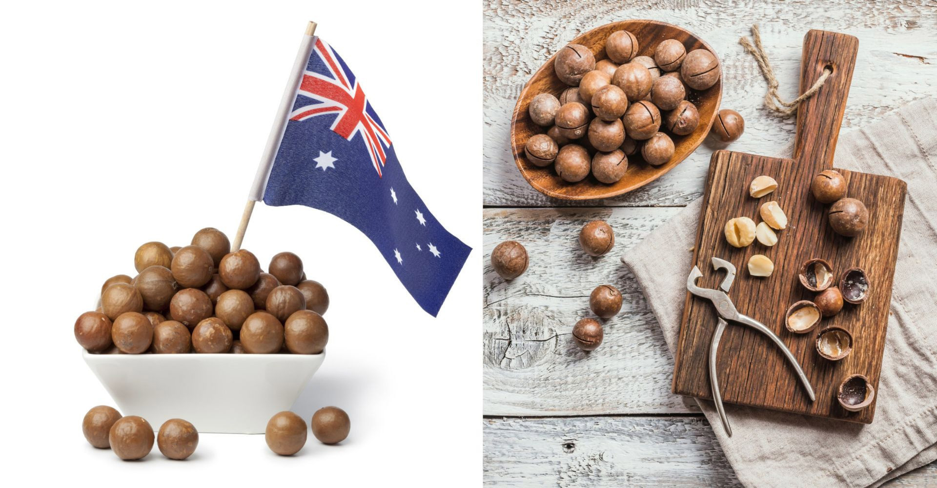 Cracking facts about macadamia nuts