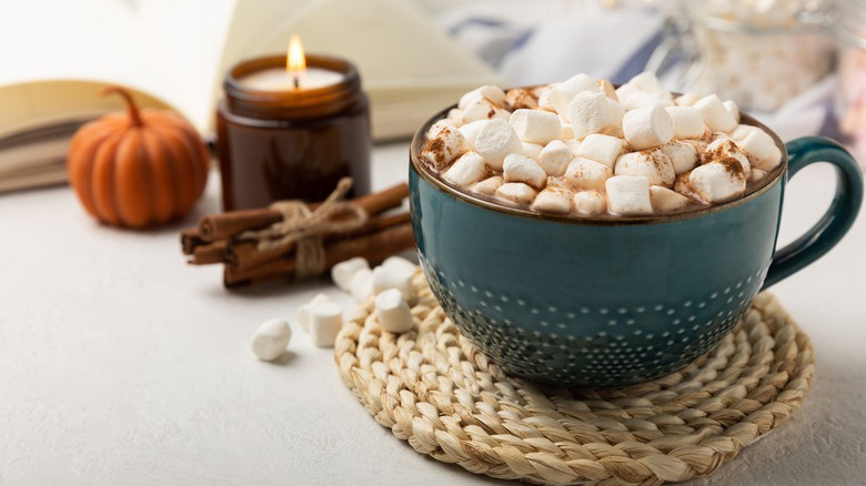 Malt Powder Is The Secret Ingredient For Richer Hot Cocoa