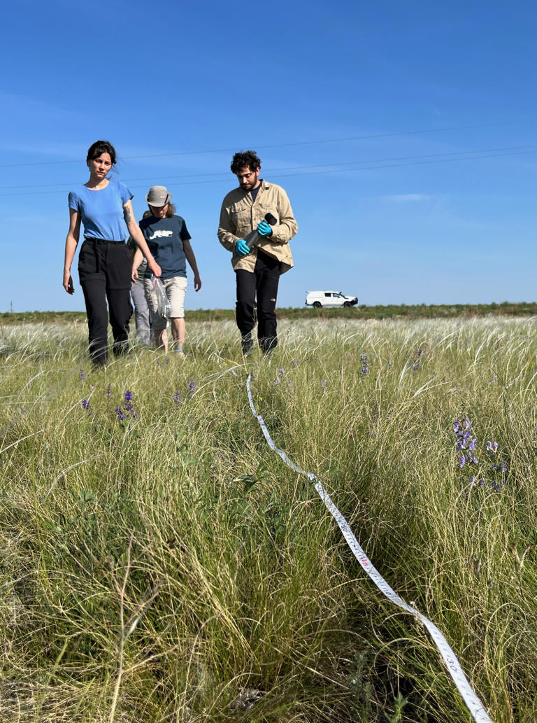 Kelcie Walther, Stewart and Koshkina sample soil on the way to Petropavl, near the Russian border. The team sampled during a heat wave, when temperatures reached about 97 degrees Fahrenheit.