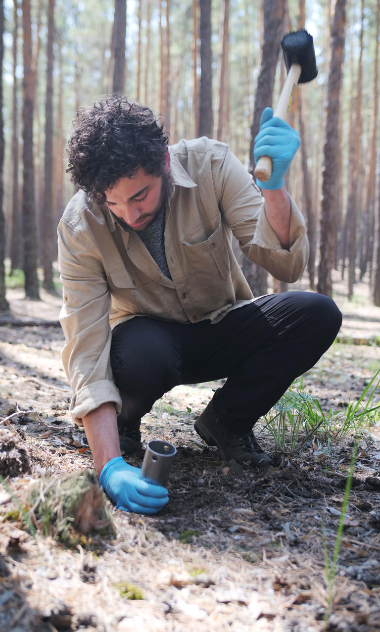 Stewart takes a soil sample in a pine forest in the mountains near Burabay. This area acts as a negative control for the data set — it is not expected to desertify.